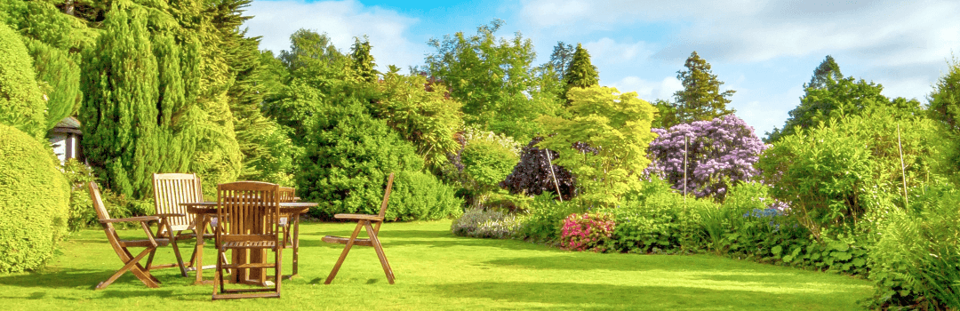 Paysagiste à Nancy : concevons ensemble le plus beau des jardins