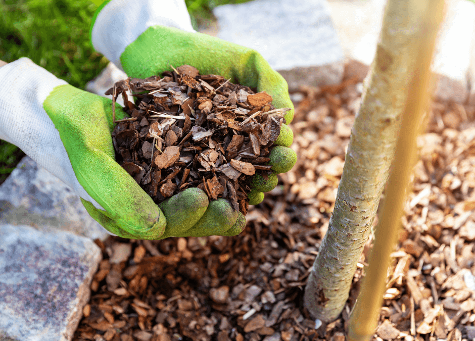 Paysagiste à Lunéville : nos solutions écologiques pour entretenir votre jardin